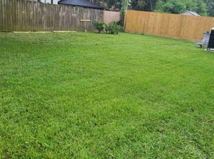 Rosemary D.'s Lawn Mowing service result