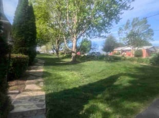 Carson W.'s Lawn Mowing service result