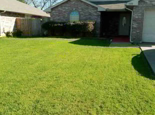 Steve W.'s Lawn Mowing Service service result