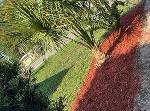 Cleanups by Keyse Robinson for Kristal S. in Tavares, FL