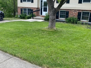 Sherry M.'s Yard Cutting service result