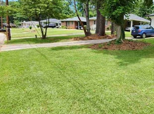 Samuel D.'s Lawn Service service result