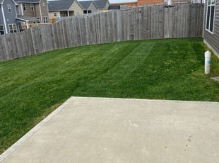 Weeding by Alex Armstrong for Kyle Y. in Lexington, KY