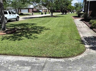 Laura S.'s Lawn Maintenance service result