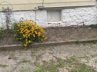 Weeding by Cam Joseph for Jenney H. in Rochester, NY