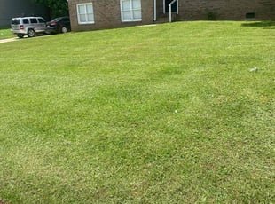 Chrissy X.'s Lawn Service service result