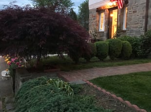 Bush Trimming by Kamonta Hackey for Michele M. in Alexandria, VA