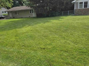 Jeffrey D.'s Lawn Mowing Service service result