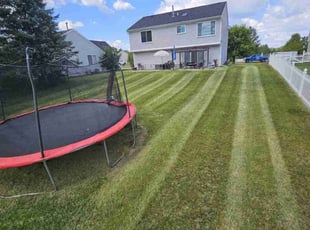 Patricia B.'s Lawn Care service result