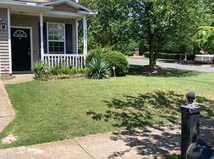 Cynthia W.'s Grass Cutting service result