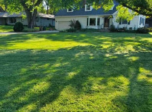 Susanna S.'s Grass Cutting service result