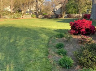 Joe B.'s Lawn Mowing service result