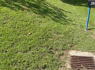 Jordan B.'s Lawn Mowing service result