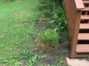 Bush Trimming by B.J. Schuetz for Erin H. in Westerville, OH