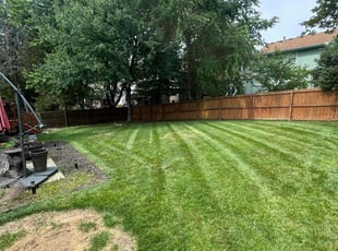 Stacy M.'s Lawn Care service result