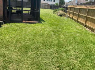 Jennifer T.'s Lawn Care service result