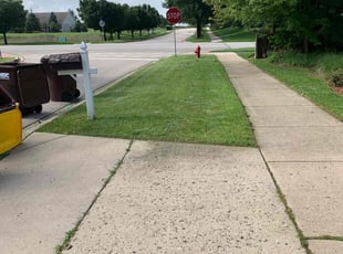 Erich W.'s Lawn Care service result