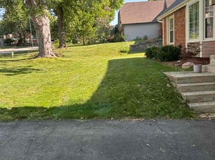 Kim G.'s Lawn Care service result