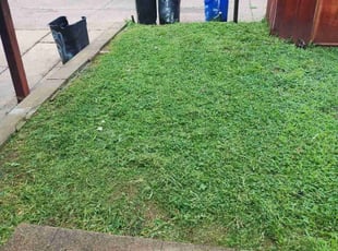 Emily C.'s Lawn Maintenance service result