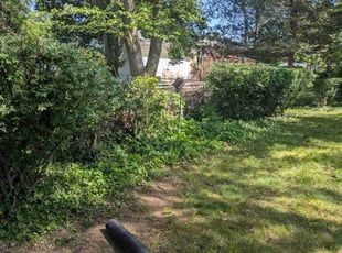 Cleanups by Roscoe Carr for Carolyn S. in Herndon, VA