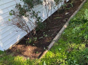 Weeding by Jose Tovar for David S. in Fort Worth, TX