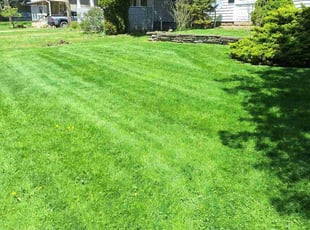 Jason s.'s Lawn Maintenance service result