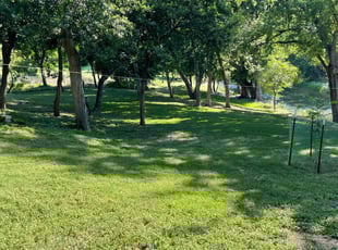 Marianne &.'s Lawn Service service result