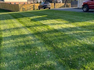 Gloria M.'s Lawn Mowing Service service result