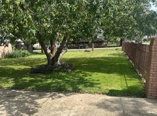 Denise Z.'s Lawn Maintenance service result