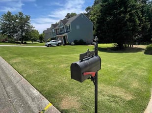 David L.'s Yard Cutting service result