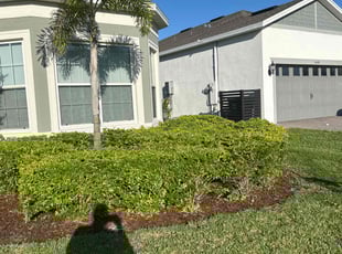 Bush Trimming by Patrick Paul for John D. in Montverde, FL