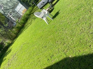 Michelle H.'s Lawn Mowing service result