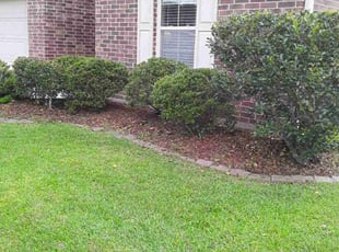 Bush Trimming by Robert Collins for Rita C. in Covington, LA