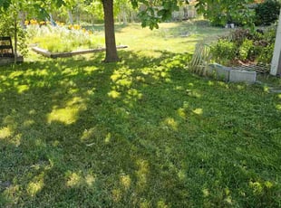 Gus R.'s Lawn Mowing service result