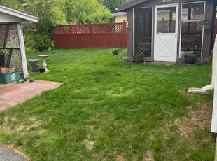 Cleanups by Matthew Clouse for Cathy E. in Peabody, MA