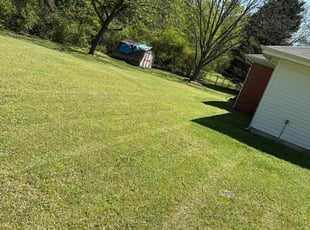 Britton M.'s Lawn Mowing service result