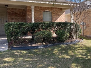 Bush Trimming by Johnny Shaw for Chris E. in Haslet, TX