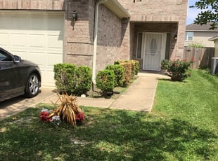 Bush Trimming by Agapito Rivera for Leona F. in Houston, TX