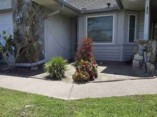 Weeding by Rolando Mojica Betancourt for Jose D C. in Kissimmee, FL