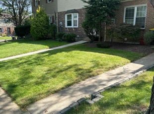 Laurel S.'s Lawn Mowing Service service result