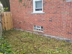 Cleanups by Don Breham for Molly K. in St. Clair Shores, MI