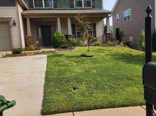 Carol M.'s Lawn Mowing service result