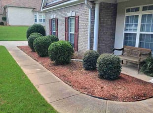 Pat B.'s Lawn Mowing service result