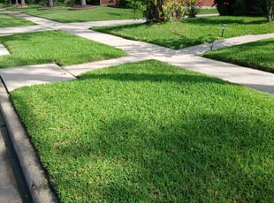 James B.'s Lawn Service service result