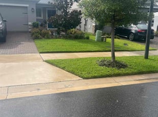 Demosthenes C.'s Grass Cutting service result