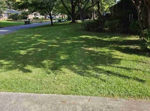 Michael K.'s Lawn Mowing Service service result