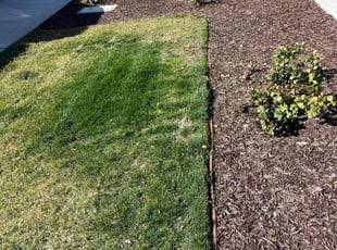 Janet S.'s Lawn Mowing Service service result