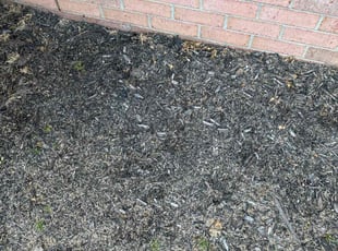 Weeding by Michael Herring for Karen L. in Memphis, TN