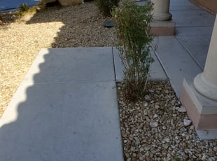 Bush Trimming by Lamont Johnson for Rebecca T. in Las Vegas, NV