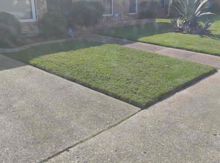 Merle R.'s Bush Trimming service result